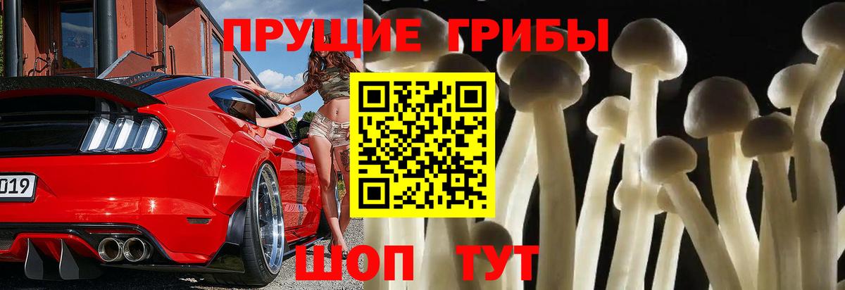 Шахты  Галлюциногенные грибы мухоморы  Вход с VPN 